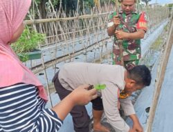 Bhabinkamtibmas Kelurahan Rite Dampingi Pengelolaan Pekarangan Pangan Bergizi