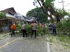 Kapolres Lombok Utara Bantu Warga Bersihkan Ranting Pohon.