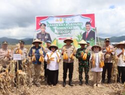 Dukung Ketahanan Pangan Nasional, Polres Sumbawa Gelar Panen Raya Jagung Serentak Tahap I Di Kecamatan Lunyuk