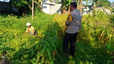 Bhabinkamtibmas Karang Bongkot Turun ke Sawah, Dukung Petani Maju!