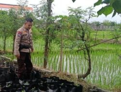 Bhabinkamtibmas Terong Tawah Dukung Ketahanan Pangan, Dampingi Mahasiswa Cek Tanah