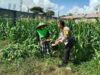 Dukung Ketahanan Pangan, Bhabinkamtibmas Bagik Polak Barat Sambangi Petani di Dusun Jogot