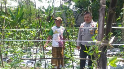 Bhabinkamtibmas Jagaraga Dorong Warga Tanam Sayur di Pekarangan Rumah