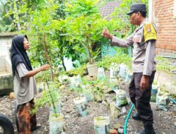 Wujud Ketahanan Pangan, Polres Loteng Masifkan Sosialisasi Pekarangan Bergizi di Tengah Masyarakat