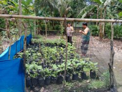 Polres Lombok Tengah Apresiasi Masyarakat Manfaatkan Pekarangan Rumah untuk Pekarangan Bergizi