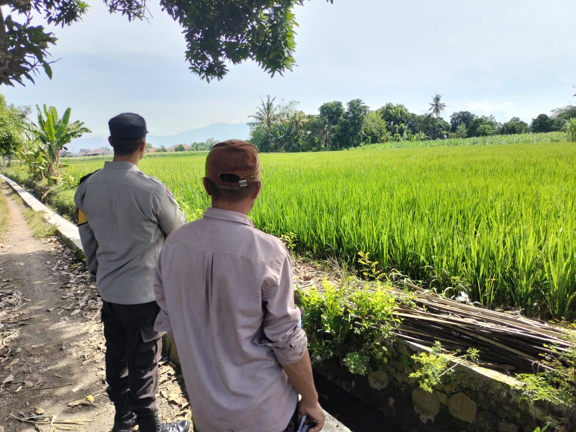 Polisi Turun ke Sawah! Bhabinkamtibmas Dukung Petani di Labuapi