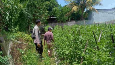 Polsek Labuapi Ajak Warga Manfaatkan Pekarangan, Hasilnya Mengesankan!