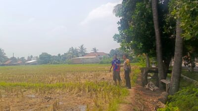 Petani Lombok Barat Sukses Panen, Polisi Turut Edukasi Program Pemerintah!