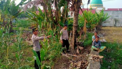 polsek, labuapi, polri, petani, pertanian, dukungan, program, pemerintah, bhabinkamtibmas, sinergi