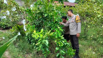 Bukan Sekadar Jaga Desa, Polisi Ini Jadi Penggerak Ketahanan Pangan