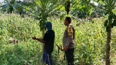 Polisi dan Petani Bersinergi, Ketahanan Pangan Jadi Prioritas!