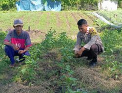 Bhabinkamtibmas Desa Kempo Bantu Warga Binaan dalam Program Ketahanan Pangan