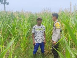 Bhabinkamtibmas Desa Songgajah Pantau Pemanfaatan Lahan Pekarangan untuk Ketahanan Pangan