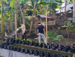 Bhabinkamtibmas Kuripan Utara Dorong Ketahanan Pangan Desa