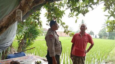 Terobosan Polsek Labuapi: Keamanan dan Ketahanan Pangan Jalan Beriringan