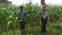 Bhabinkamtibmas Turun ke Desa, Warga Siap Tanam Jagung