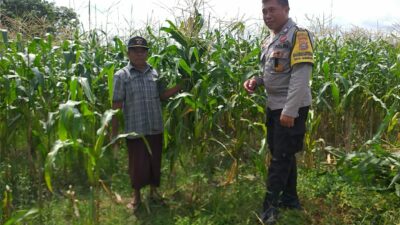 Bhabinkamtibmas Turun ke Desa, Warga Siap Tanam Jagung