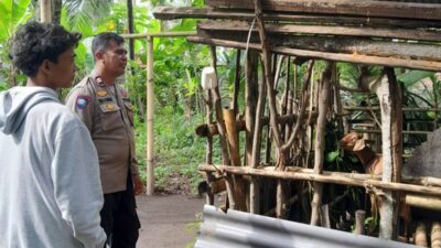 Kolaborasi Polisi dan Warga Bhabinkamtibmas Senggigi Perkuat Ketahanan Pangan di Dusun Krandangan