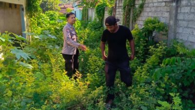 Membangun Kemandirian Pangan Lewat Inisiatif Bhabinkamtibmas Desa Perampuan