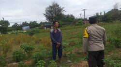 Polsek Kuripan Dorong Partisipasi Masyarakat dalam Program Ketahanan Pangan Nasional