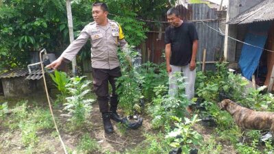 Polsek Kuripan Apresiasi Upaya Ketahanan Pangan Warga Jagaraga