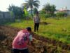 Bhabinkamtibmas Lombok Barat Aktif Dorong Warga Manfaatkan Pekarangan