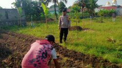 Bhabinkamtibmas Lombok Barat Aktif Dorong Warga Manfaatkan Pekarangan
