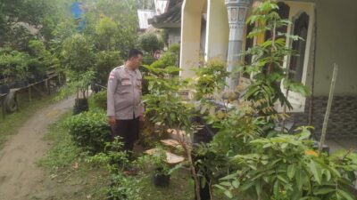 Dukung Pertanian Pekarangan, Polri Hadir Erat di Tengah Masyarakat di Sekotong