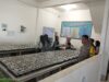 Polres Loteng Pastikan Pendistribusian Makanan Bergizi Gratis (MBG) Dukung Program Presiden RI. ‎ ‎