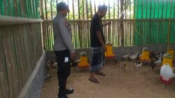Bhabinkamtibmas Desa Jagaraga Dorong Ketahanan Pangan Lewat Peternakan Mandiri
