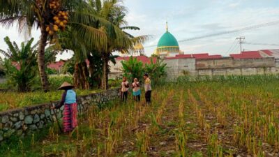 Sinergi Polri dan Warga Kembangkan Ketahanan Pangan Desa