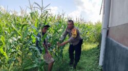 Peran Bhabinkamtibmas dalam Mendukung Ketahanan Pangan Nasional di Lombok Barat