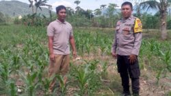 Polsek Kuripan Dorong Ketahanan Pangan Lewat Silaturahmi Warga