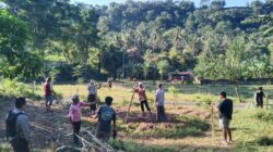 Polsek Batulayar Dorong Ketahanan Pangan Lewat Silahturahmi Bhabinkamtibmas