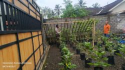 Polsek Kuripan Dukung Ketahanan Pangan dengan Sosialisasi Tanaman Pangan di Lombok Barat
