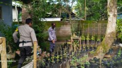 Bhabinkamtibmas Kuripan Edukasi Warga Soal Ketahanan Pangan Lokal