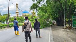 Sinergi Polsek dan Dinas LH Lombok Barat Dalam Penertiban Pohon Berbahaya