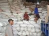 Sat Binmas Polres Bima Kota Himbau Pengatur Lalu Lintas di Depan Gudang Pelabuhan Bima Atur Keluar Masuk Truk agar Tak Ganggu Jalan Umum