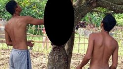 Pria di Sekotong Ditemukan Tewas Gantung Diri di Pohon Jambu Mete