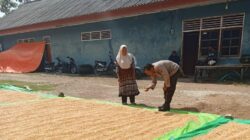 Bantu Kegiatan Petani di Desa Binaan Bhabinkamtibmas Polsek Soromandi Sukseskan Program Ketahanan Pangan Nasional