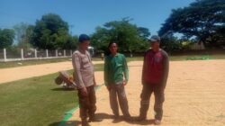 Bhabinkamtibmas Desa Rasabou Lakukan Pemantauan Jelang Panen Jagung, Dukung Ketahanan Pangan Nasiona