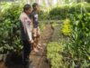 Banyumulek Barat Dorong Kemandirian Pangan Lewat Pekarangan Rumah