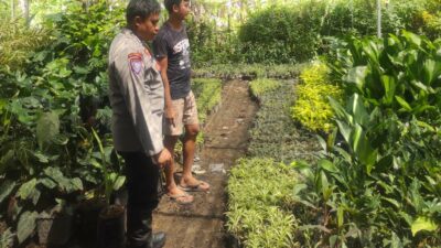 Banyumulek Barat Dorong Kemandirian Pangan Lewat Pekarangan Rumah