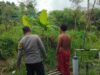 Bhabinkamtibmas Desa Kedaro Dorong Warga Manfaatkan Pekarangan untuk Ketahanan Pangan