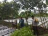 Bhabinkamtibmas Desa Kediri Dukung Ketahanan Pangan Lewat Sambang Petani