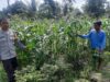 Polri Lombok Barat Gencarkan Ketahanan Pangan di Montong Are