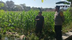 Bhabinkamtibmas Gerung Selatan Perkuat Ketahanan Pangan dan Kamtibmas Melalui Silaturahmi
