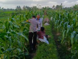 Bhabinkamtibmas Kuripan Utara Dukung Ketahanan Pangan Lokal