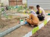 Bhabinkamtibmas Lembar Selatan Dorong Warga Kelola Lahan Pekarangan