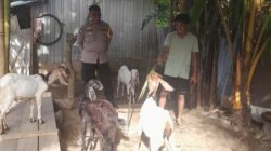 Bhabinkamtibmas Senggigi Gencarkan Edukasi Ketahanan Pangan di Dusun Krandangan